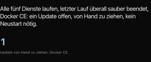 Serverlage: alle fünf Dienste laufen, ein Update von Hand einzuspielen