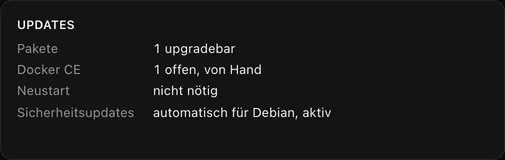 Updates: ein Paket aktualisierbar, Docker CE von Hand, Sicherheitsupdates automatisch